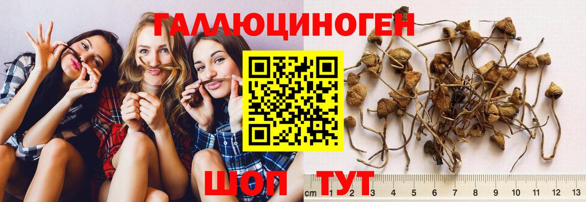 Псилоцибиновые грибы MAGIC MUSHROOMS  где можно купить   Каменск-Уральский  Вход с VPN 
